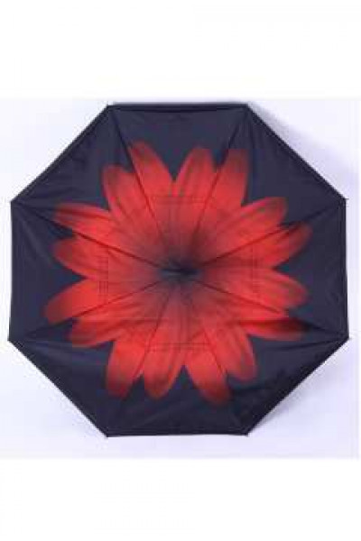 Ветрозащитный зонт