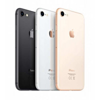 Apple iPhone 8 (ref) 64 ГБ silver